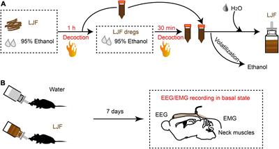 Lonicerae Japonicae Flos Extract Promotes Sleep in Sleep-Deprived and Lipopolysaccharide-Challenged Mice